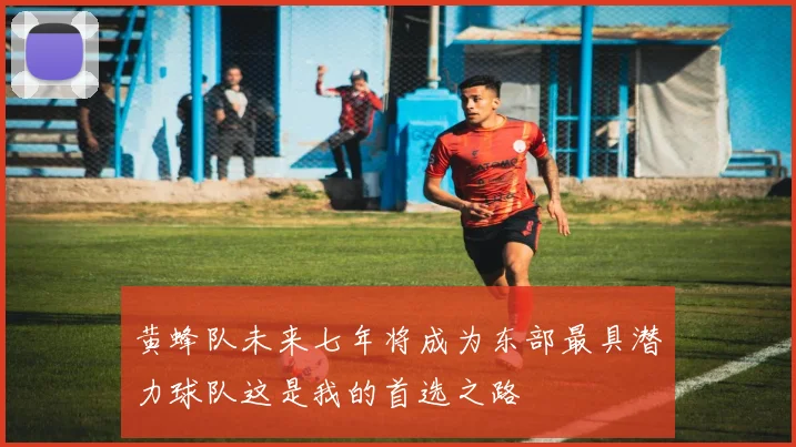 黄蜂队未来七年将成为东部最具潜力球队这是我的首选之路